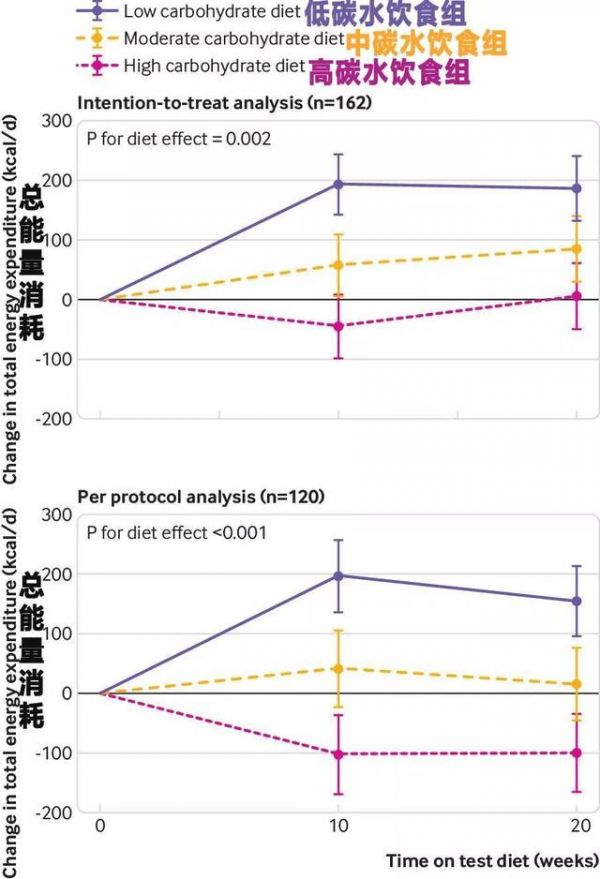 哈佛研究,低碳水饮食的代谢率最高,躺着也能瘦的秘密……