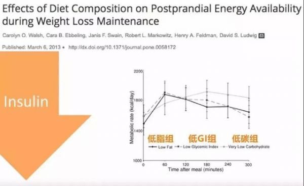 哈佛研究,低碳水饮食的代谢率最高,躺着也能瘦的秘密……