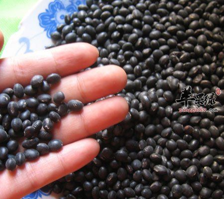 黑豆竟能抗衰美容 黑豆这些膳食保住容貌