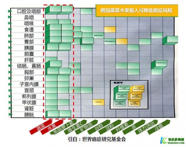 植物营养素对人体健康有什么好处