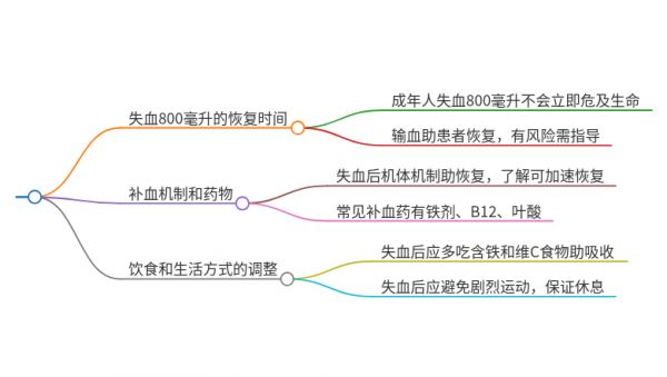 失血800毫升多久能补上来