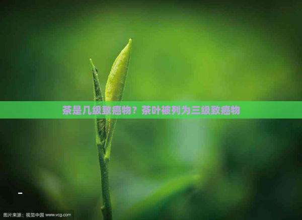 茶是几级致癌物？茶叶被列为三级致癌物
