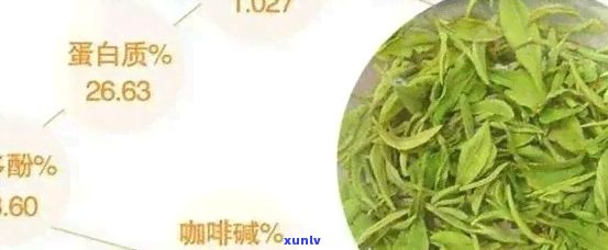 喝一个月的绿茶对体重的影响