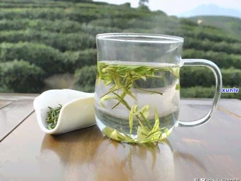 喝一个月的绿茶对体重的影响