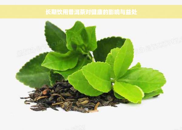长期饮用普洱茶对健康的影响与益处
