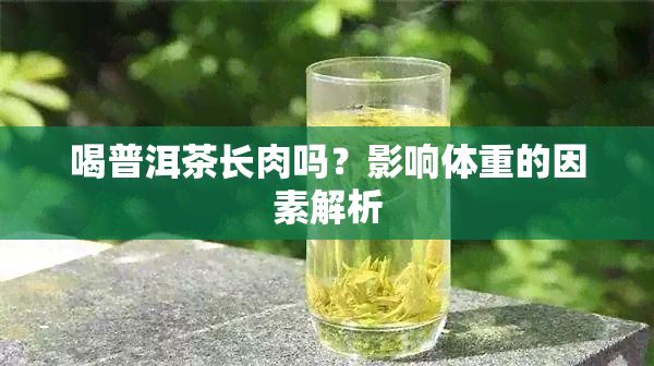喝普洱茶长肉吗？影响体重的因素解析