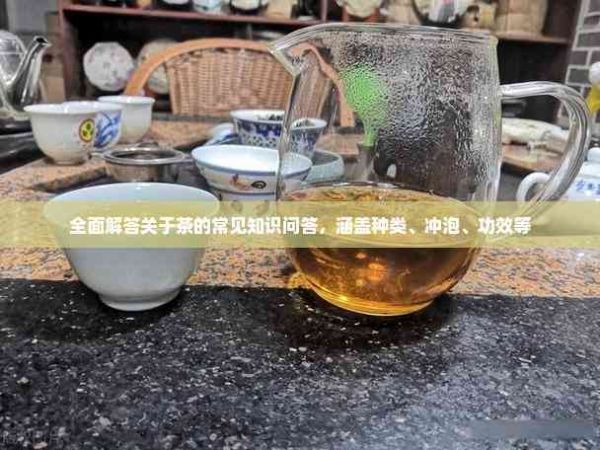 全面解答关于茶的常见知识问答，涵盖种类、冲泡、功效等
