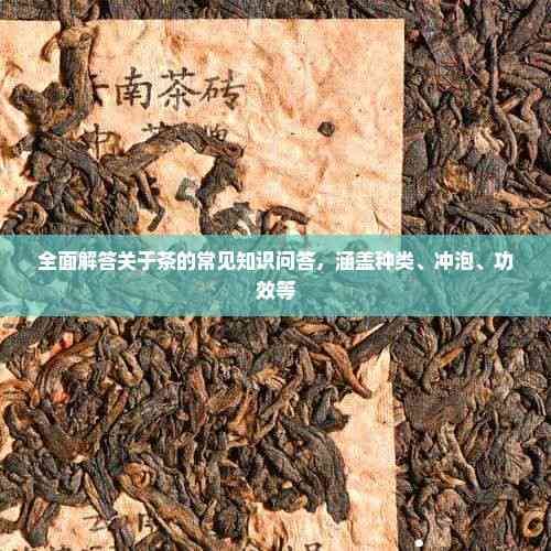 全面解答关于茶的常见知识问答，涵盖种类、冲泡、功效等