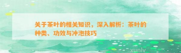 关于茶叶的相关知识，深入解析：茶叶的种类、功效与冲泡技巧
