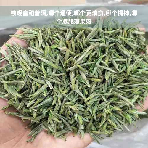 铁观音和普洱,哪个通便,哪个更消食,哪个提神,哪个减肥效果好