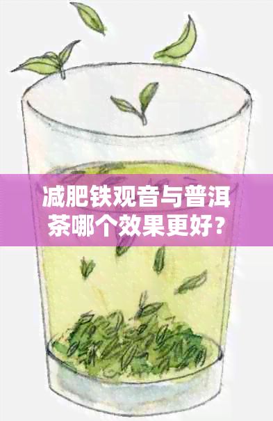 减肥铁观音与普洱茶哪个效果更好？