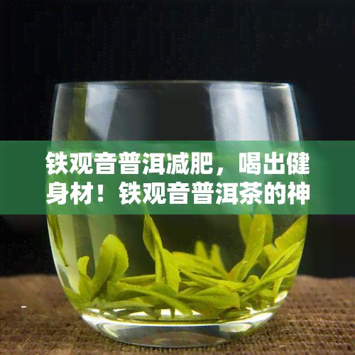 铁观音普洱减肥，喝出健身材！铁观音普洱茶的神奇减肥效果