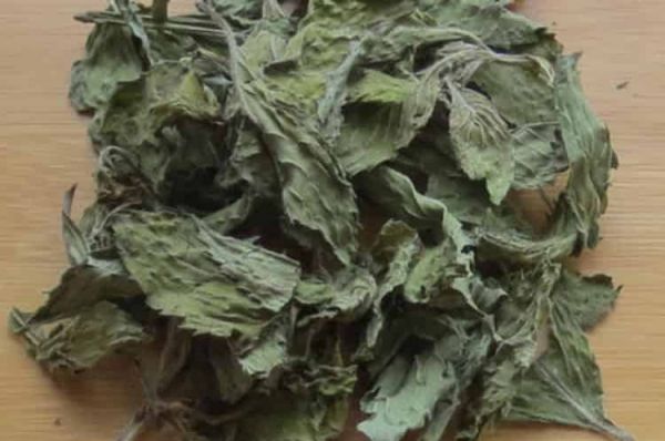 薄荷卡路里害死人_薄荷的禁忌人群