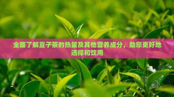 全面了解豆子茶的热量及其他营养成分，助您更好地选择和饮用