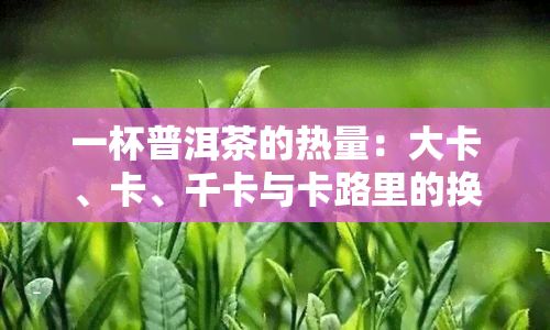 一杯普洱茶的热量：大卡、卡、千卡与卡路里的换算，以及消耗的热量和重量
