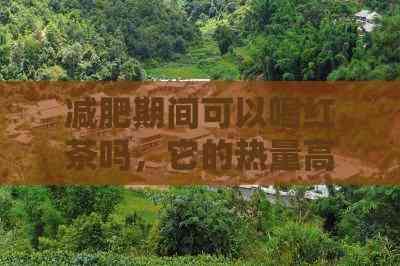 减肥期间可以喝红茶吗，它的热量高吗？