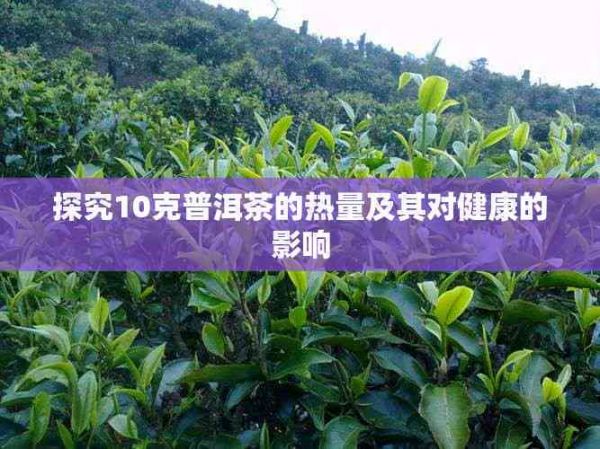 探究10克普洱茶的热量及其对健康的影响