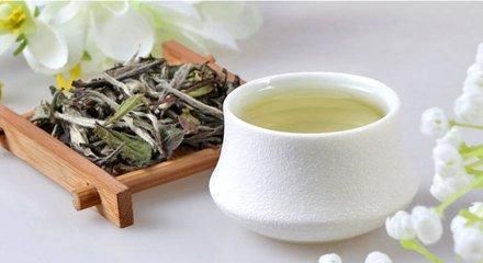 喝茶减肥，7款瘦身养生茶推荐给您