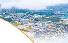干在实处 闯出新路（前沿观察·挑大梁 看担当）