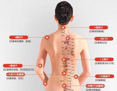 专家揭秘经络减肥骗局 排毒不等于减脂