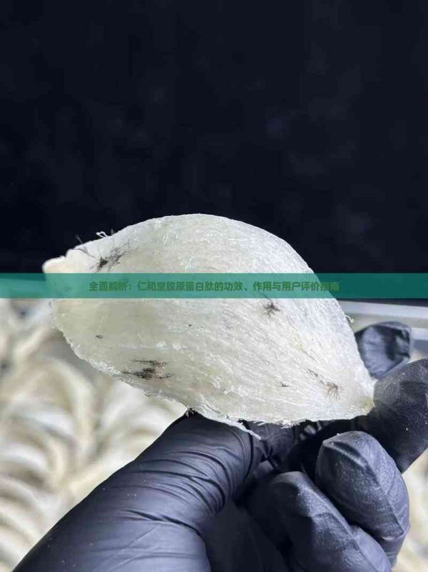 全面解析：仁和堂胶原蛋白肽的功效、作用与用户评价指南