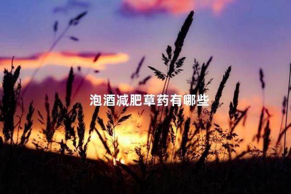 泡酒减肥草药有哪些