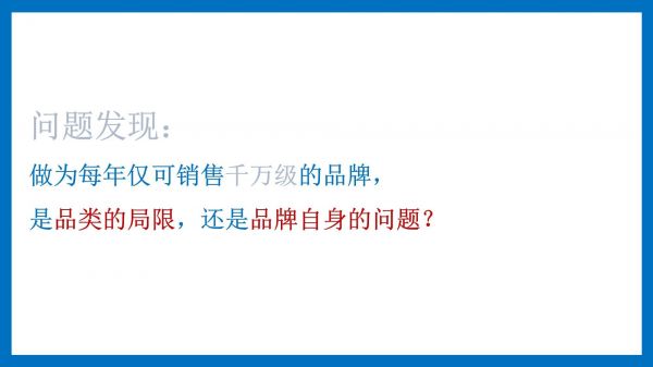 品牌战略规划方法与案例_第5页