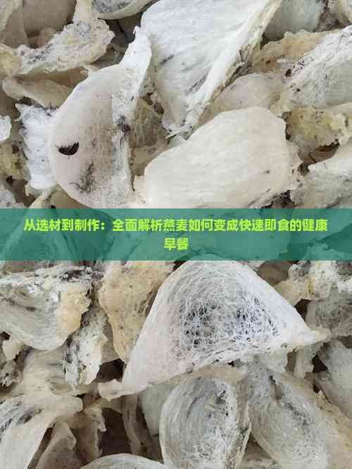 从选材到制作：全面解析燕麦如何变成快速即食的健康早餐