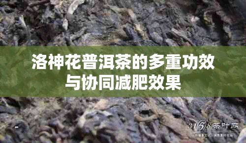 洛神花普洱茶的多重功效與協(xié)同減肥效果
