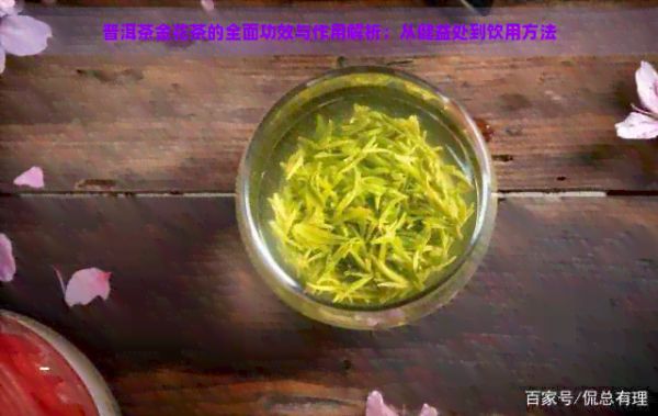 普洱茶金花茶的全面功效与作用解析：从健益处到饮用方法