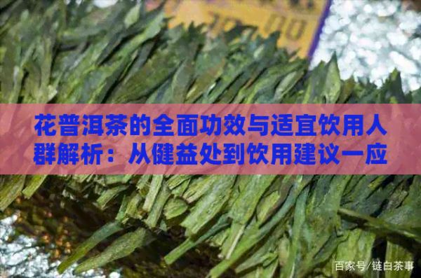 花普洱茶的全面功效与适宜饮用人群解析：从健益处到饮用建议一应俱全