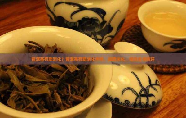 普洱茶有助消化？普洱茶有助消化作用，能助消化、促進(jìn)血液循環(huán)