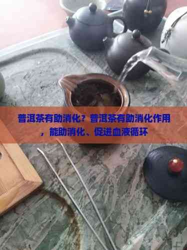 普洱茶有助消化？普洱茶有助消化作用，能助消化、促進(jìn)血液循環(huán)