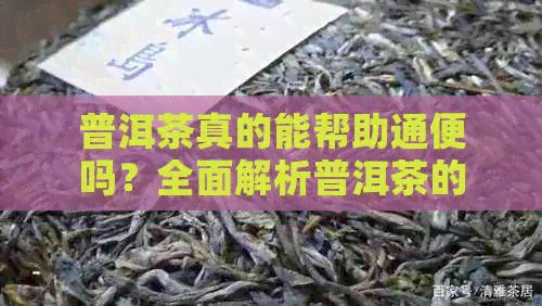 普洱茶真的能幫助通便嗎？全面解析普洱茶的功效與作用