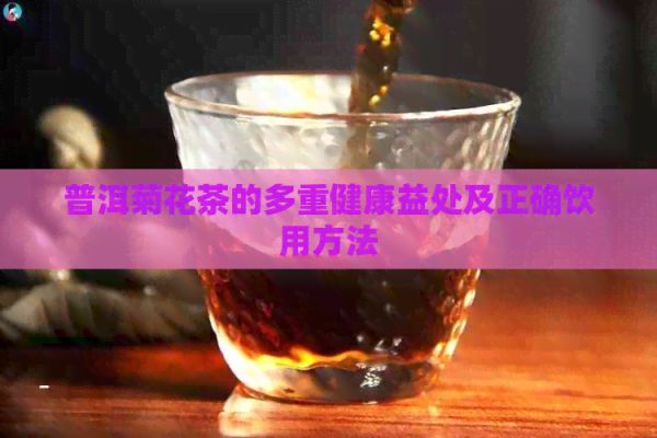 普洱菊花茶的多重健康益處及正確飲用方法