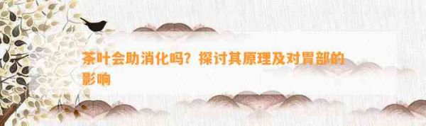 茶叶会助消化吗？探讨其原理及对胃部的影响