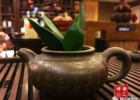 喝茶叶可以助消化吗，探讨茶叶的消化作用：喝茶叶真的能助消化吗？