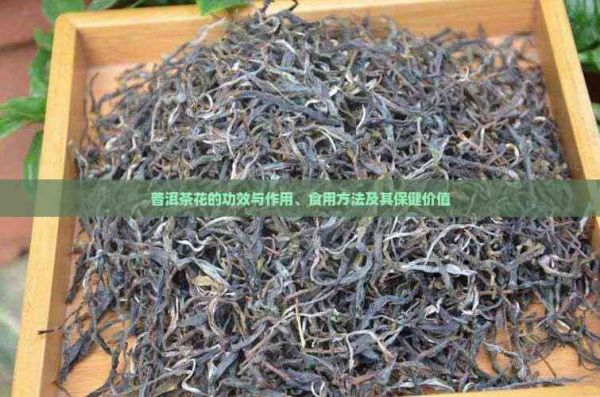 普洱茶花的功效與作用、食用方法及其保健價(jià)值