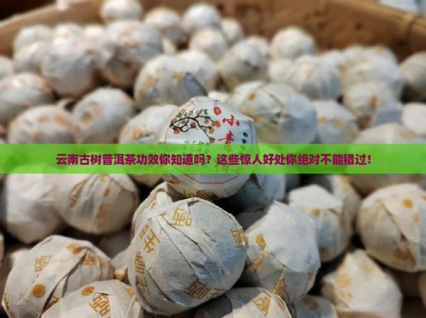 云南古树普洱茶功效