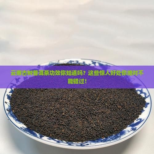 云南古树普洱茶功效