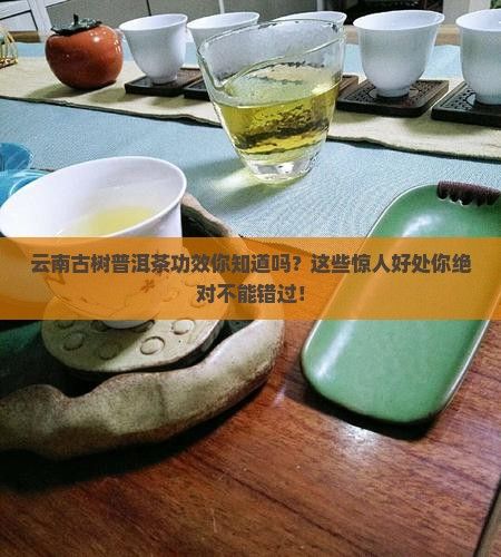 云南古树普洱茶功效