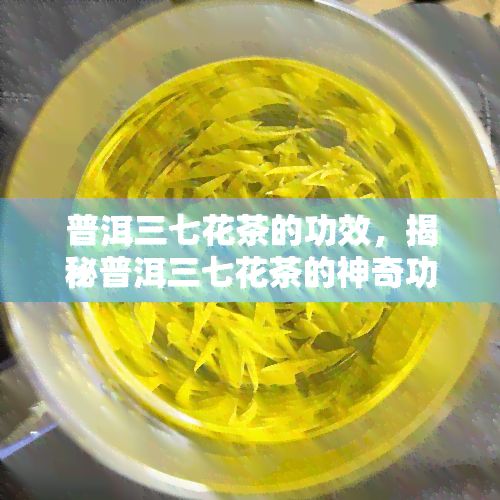 普洱三七花茶的功效，揭秘普洱三七花茶的神奇功效，让你健又美丽！