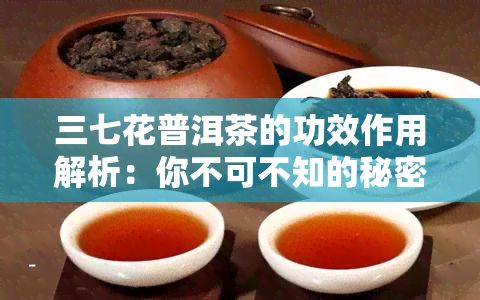 三七花普洱茶的功效作用解析：你不可不知的秘密