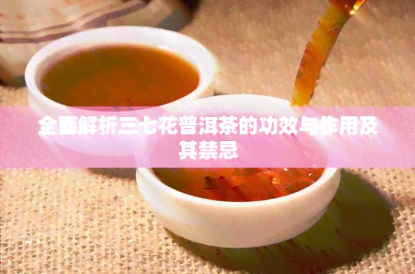 全面解析三七花普洱茶的功效与作用及其禁忌
