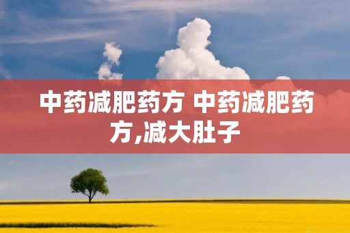 中药减肥药方 中药减肥药方,减大肚子