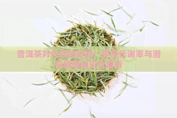 普洱茶对代谢的影响：提高代谢率与潜在健康益处全解析
