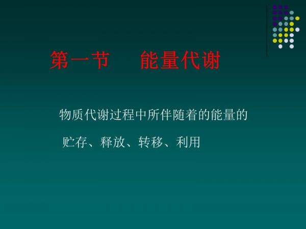 能量代谢和体温第一节能量代谢.ppt_第2页