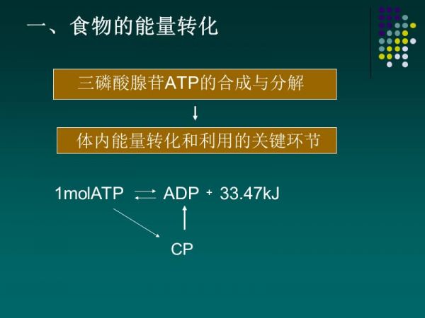 能量代谢和体温第一节能量代谢.ppt_第3页
