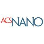 华工/华科合作ACS Nano：三维半导体异质结网络调控能量代谢促进骨再生血管生成