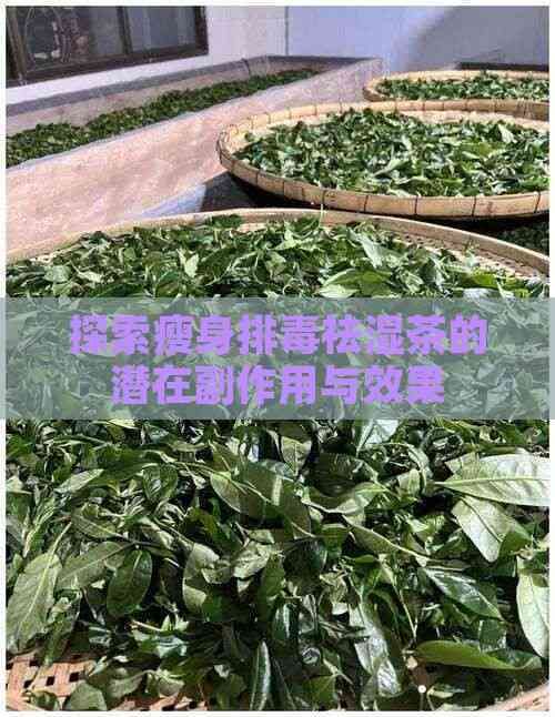 探索瘦身排祛湿茶的潜在副作用与效果